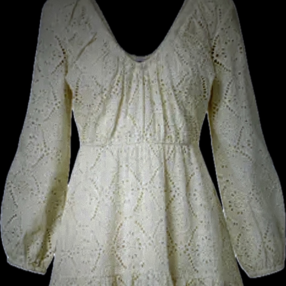 Veronica Beard eyelet Dress